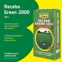 (ES) Tiempo de recebado: una técnica imprescindible para tener un césped saludable