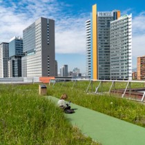 Burés, principal proveedor para el Terrat Viu, la primera cubierta verde silvestre de Barcelona