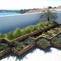 NOU: Sistema Enjardinament Modular Burés per a cobertes verdes i superfícies dures.