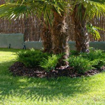 (ES) Videotutorial: ¿Cómo se aplican los acolchados de jardín?