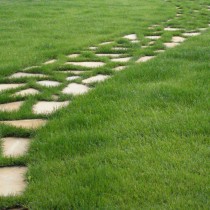 (ES) Cuidado del césped: recebar