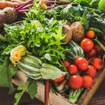 Huerto urbano instalación de última hora