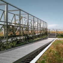 (ES) Barcelona apuesta por las Cubiertas Verdes