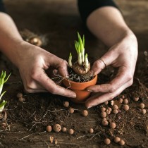 (ES) Arcilla expandida, un aliado que quizá desconocías