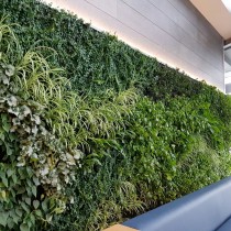 (ES) Jardines verticales: la inspiración verde