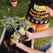 Cuidados del Huerto Urbano al inicio del verano
