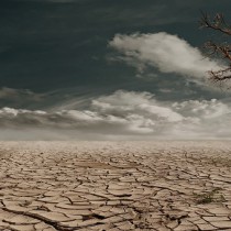 Día Mundial contra la Sequía