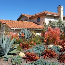 (ES) Consejos para un jardín de bajo consumo hídrico