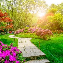 Ideas para crear un espacio único en tu jardín Ideas para crear un espacio único en tu jardín