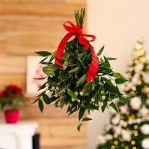 (ES) El intruso encantador de las navidades