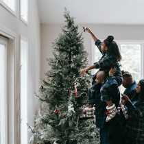 (ES) El abeto de navidad: Una tradición que ilumina nuestros hogares