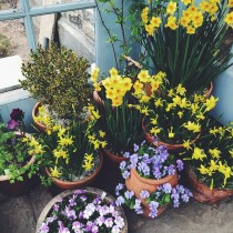 (ES) El toque floral que embellece tu casa en invierno