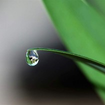 Día Mundial del Agua