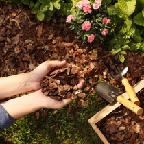 (ES) Mulch, el guardián de tus plantas