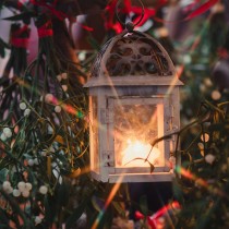 (ES) El parásito más romántico de la Navidad