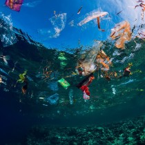 (ES) Hacia un planeta sin contaminación por plásticos